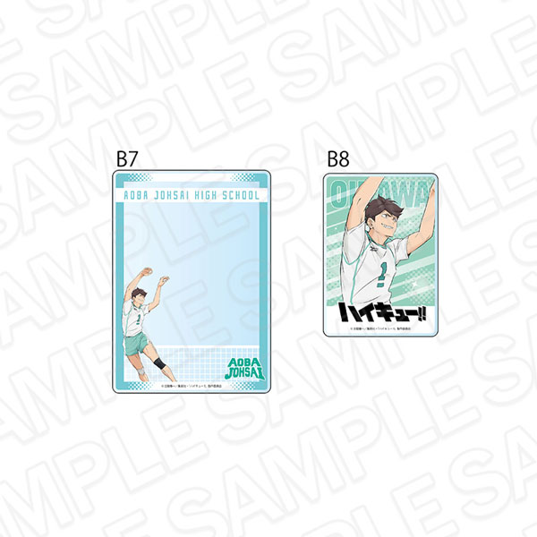 アニメ「ハイキュー！！」 硬質カードケースセット 及川徹[コンテンツシード]《発売済・在庫品》
