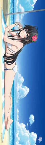 C106 俺ガイル プレミアム抱き枕カバー 雪ノ下雪乃 水着 俺ガイル 描き下ろし プレミアム抱き枕カバー 雪ノ下雪乃 制服＆白