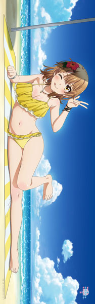 やはり俺の青春ラブコメはまちがっている。完 描き下ろし プレミアム