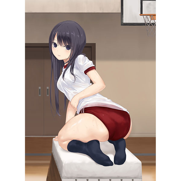 珈琲貴族先生 描き下ろしB2タペストリー(白峰莉花/跳び箱)Wスエード[カーテン魂]《０１月予約》