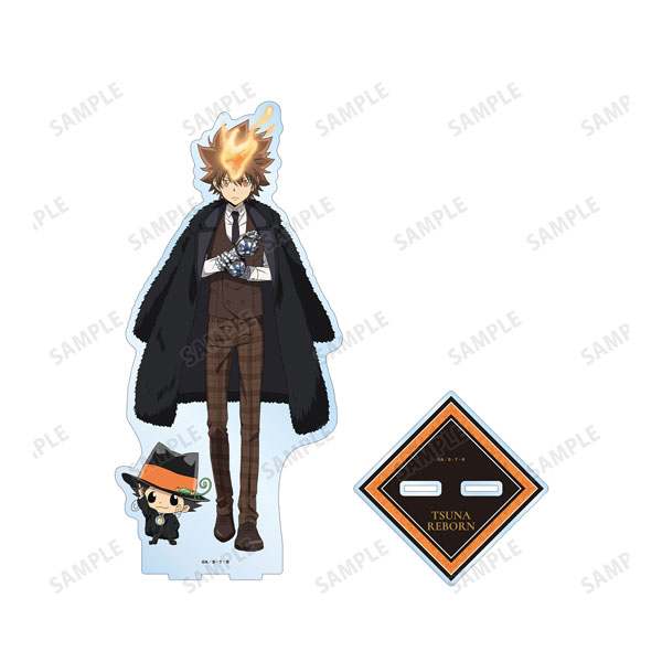 家庭教師ヒットマンREBORN！ 描き下ろし 沢田綱吉＆リボーン