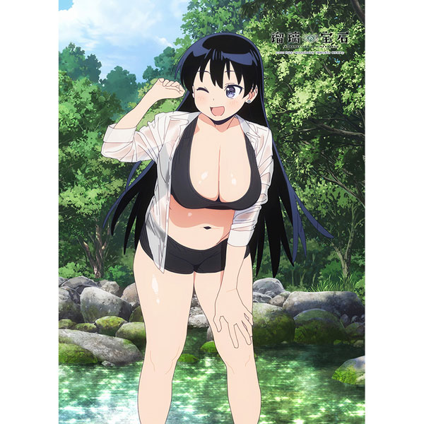 [瑠璃の宝石]描き下ろしB2タペストリー(荒砥凪/水遊び)Wスエード[カーテン魂]《０１月予約》