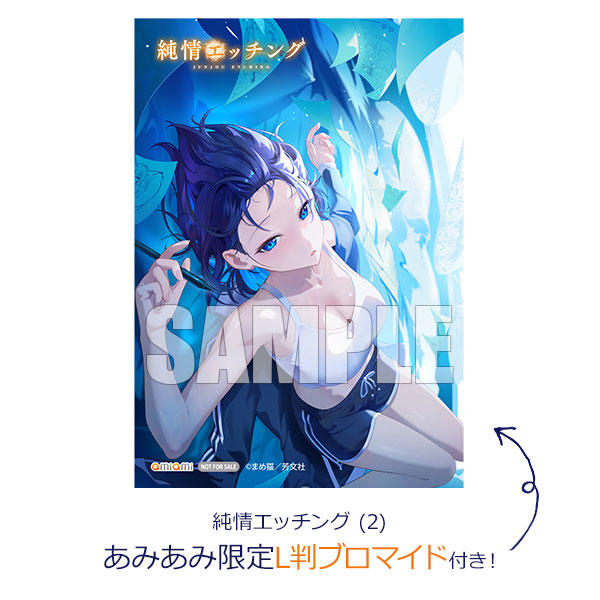【あみあみ限定特典】純情エッチング (2) (書籍)[芳文社]《発売済・在庫品》