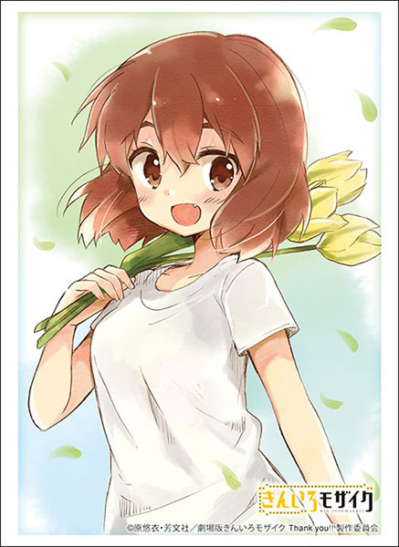 ブシロード　スリーブ　ラクエンロジック　ラクロジ　藤ちょこ　新品未開封　2個 ブシロード スリーブ ラクエンロジック ラクロジ 藤ちょこ 新品