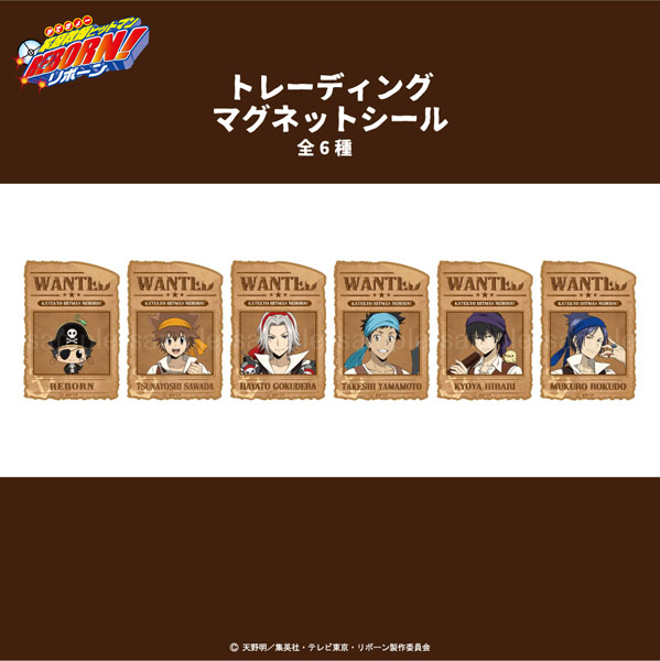 「家庭教師ヒットマンREBORN！」描き下ろし パイレーツ衣装 トレーディングマグネットシール 6個入りBOX
