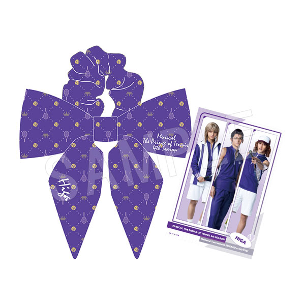 ミュージカル『テニスの王子様』4thシーズン 全国大会 青学vs氷帝