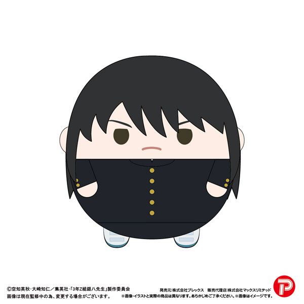 3年Z組銀八先生 ふわコロりんMsize F：桂小太郎