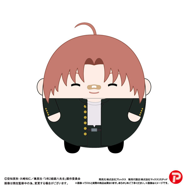 3年Z組銀八先生 ふわコロりんMsize H：神威