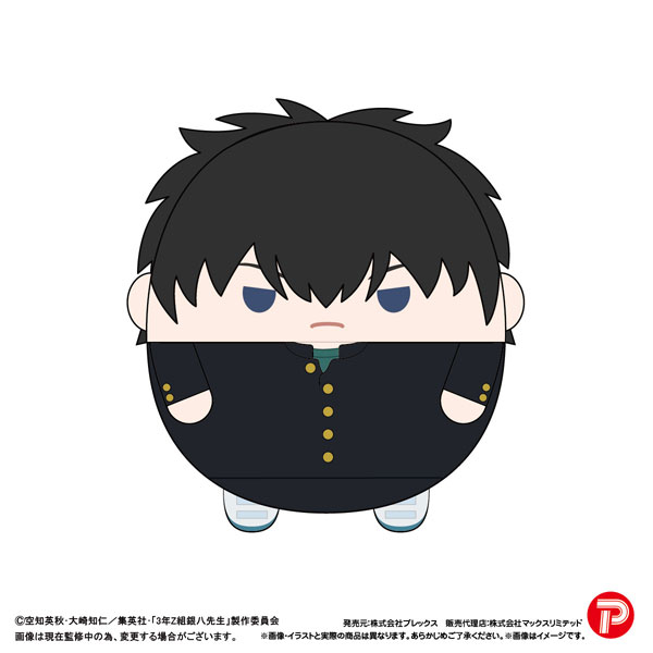 3年Z組銀八先生 ふわコロりんBIG D：土方十四郎