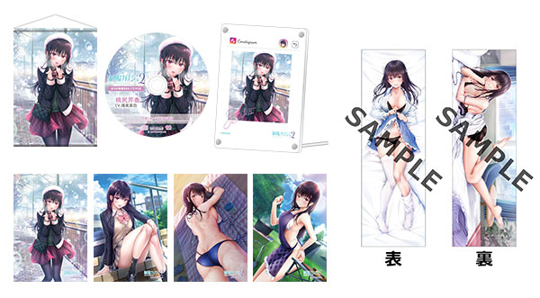 制服カノジョ2 せりか熱愛BOX+抱き枕カバー[エンターグラム]【送料無料】《０１月予約》