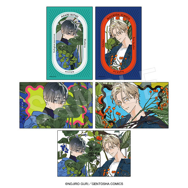 恋心開発実況 トレーディングイラストカード garden ver. 5個入りセット