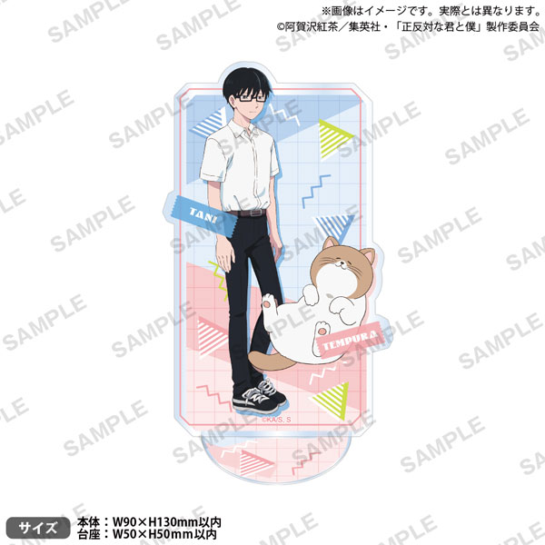 TVアニメ『正反対な君と僕』 アクリルスタンド 谷＆てんぷら[ブシロードクリエイティブ]《０１月予約》