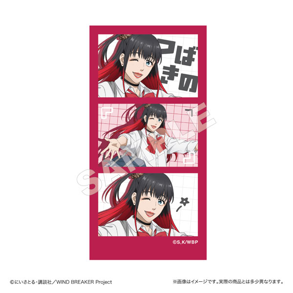 WIND BREAKER ステッカー 椿野佑[マリモクラフト]《発売済・在庫品》