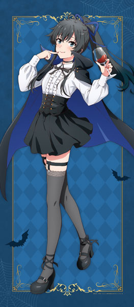 やはり俺の青春ラブコメはまちがっている。完 描き下ろし BIG