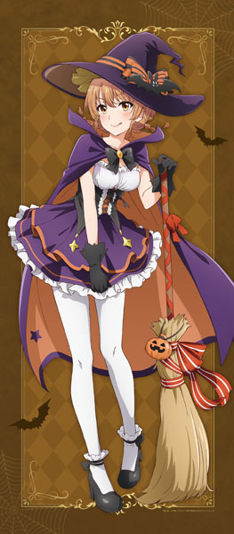 やはり俺の青春ラブコメはまちがっている。完 描き下ろし BIG