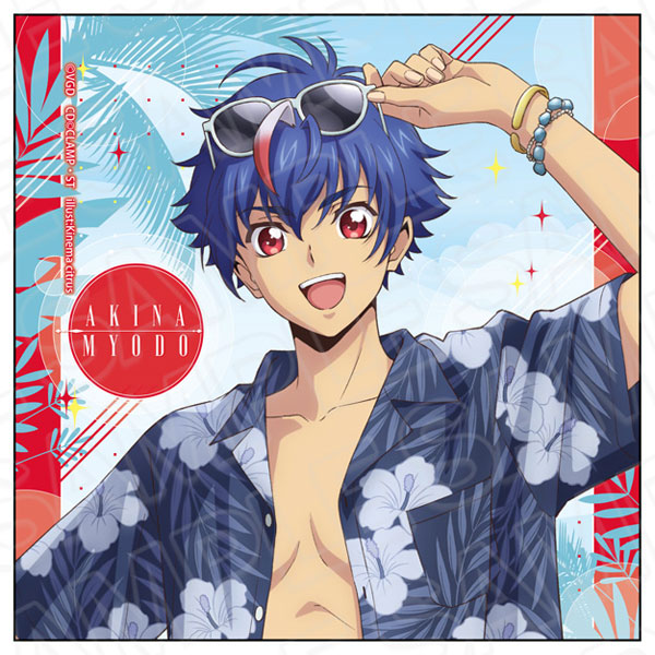 ヴァンガード ラウンドワン　アキナ&ナオ　コラボカード カードファイト！！ ヴァンガード Divinez デラックス決勝編