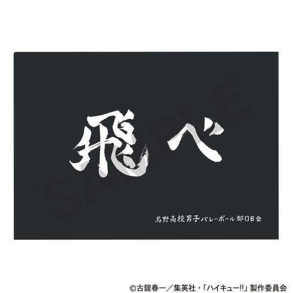 ハイキュー！！ シングルクリアファイル 烏野高校[クラックス]《０３月予約》