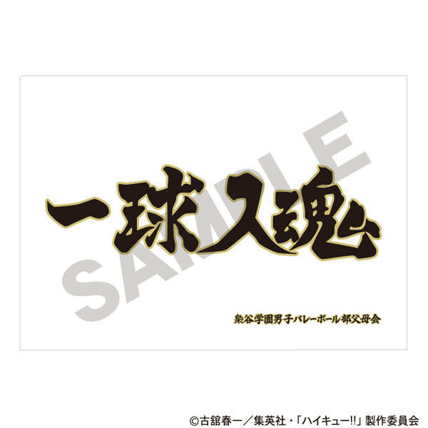 ハイキュー！！ シングルクリアファイル 梟谷学園高校[クラックス]《発売済・在庫品》