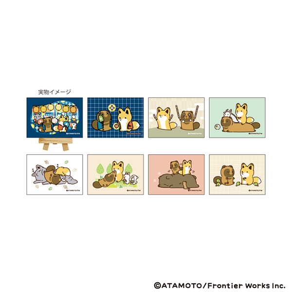 キャンバスボードミニ「タヌキとキツネ」01/公式＆描き下ろしイラスト 8個入りセット[A3]《０２月予約》