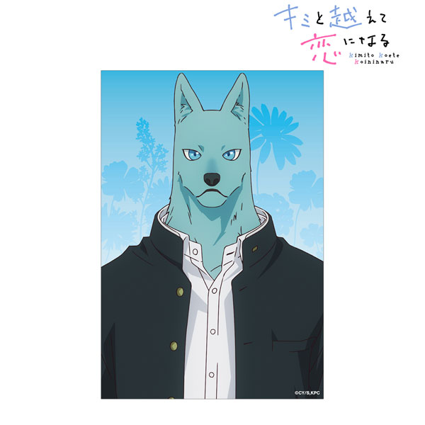 TVアニメ『キミと越えて恋になる』 飛高繋 クリアカード[アルマビアンカ]《０３月予約》