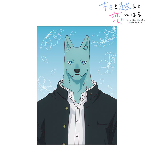 TVアニメ『キミと越えて恋になる』 飛高繋 ポストカード[アルマビアンカ]《０３月予約》