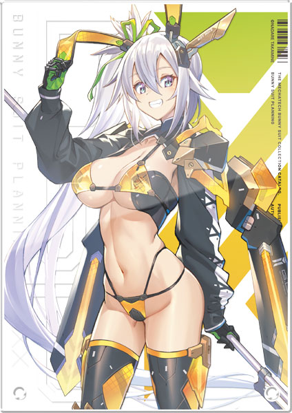 【限定販売】バニースーツプランニング アクリルパネル シルヴァ・バレルライン ビキニアーマーVer.[ホビージャパン]《０３月予約》