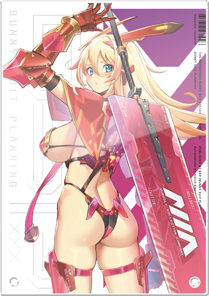 【限定販売】バニースーツプランニング アクリルパネル ヴェロニカ・スイートハート ビキニアーマーVer.[ホビージャパン]《発売済・在庫品》