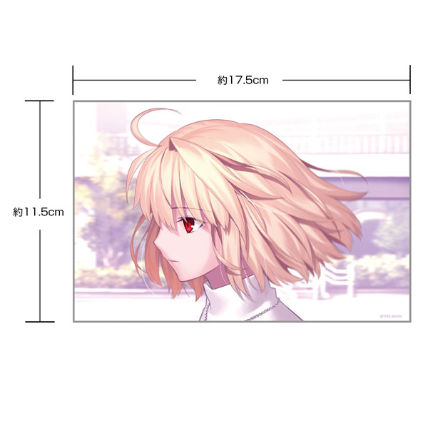 月姫 -A piece of blue glass moon- アルクェイド・ブリュンスタッド