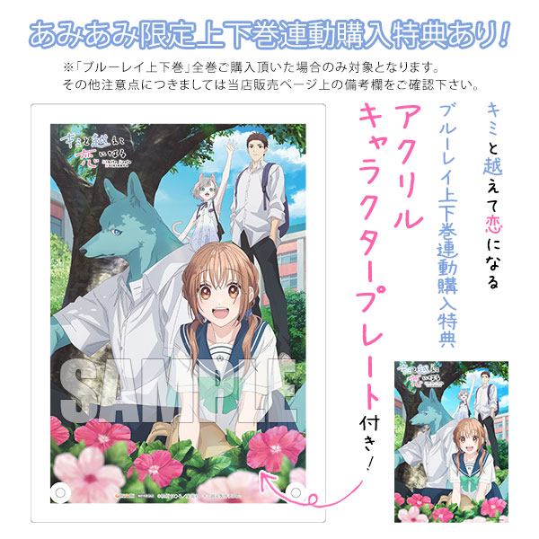 特典】BD キミと越えて恋になる Blu-ray 上巻[集英社DeNAプロジェクツ
