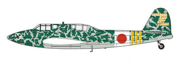 1/48 川崎 キ45改 二式複座戦闘機 屠龍 丁型 “飛行第4戦隊 回天制空隊” プラモデル[ハセガワ]《発売済・在庫品》