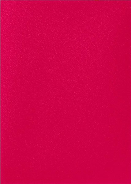 AT-15055 ドラゴンシールド スタンダードサイズ Dual Matte Fury パック[ARCANE TINMEN]《発売済・在庫品》