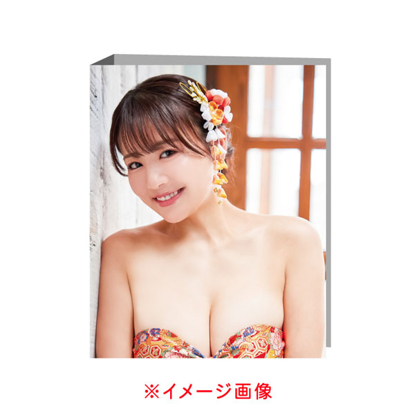 平嶋夏海～SEASON’S～専用バインダー[WooHooカンパニー]《発売済・在庫品》