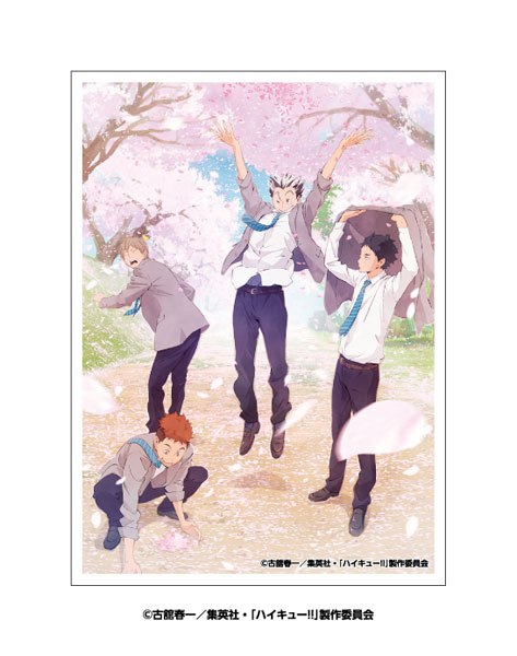 キャラクタースリーブ アニメ「ハイキュー！！」 桜吹雪(EN-1633) パック[エンスカイ]《０５月予約》