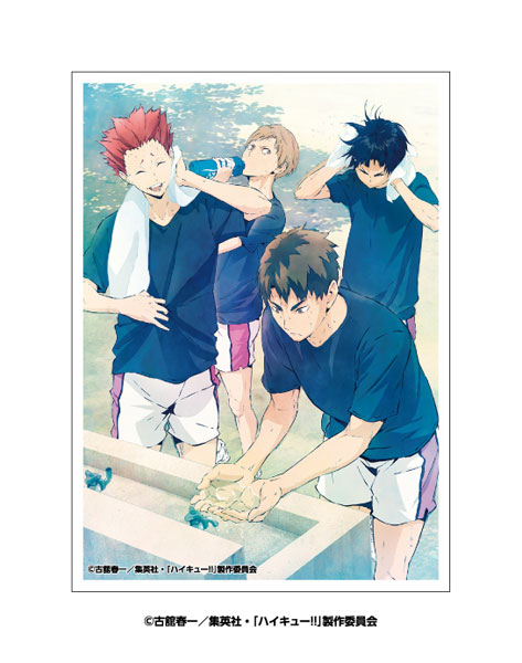 キャラクタースリーブ アニメ「ハイキュー！！」 若葉風(EN-1634) パック[エンスカイ]《０５月予約》