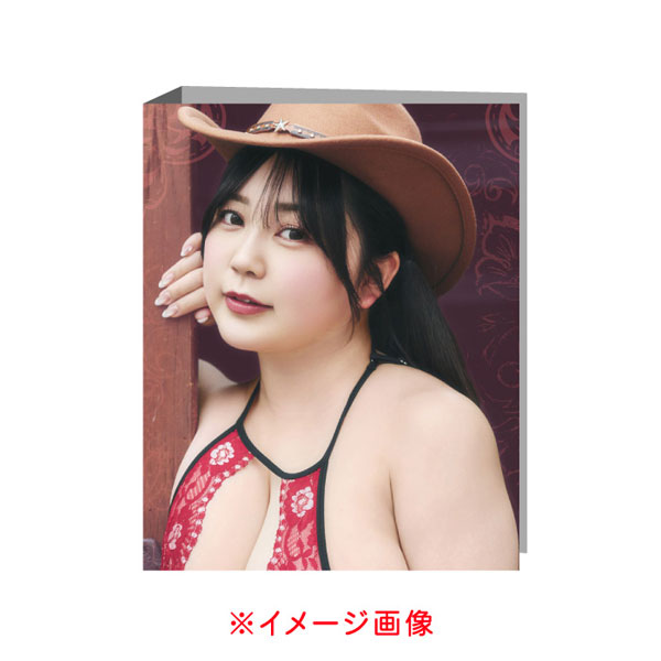 能美真奈～PUNI PUNI～専用バインダー[WooHooカンパニー]《発売済・在庫品》