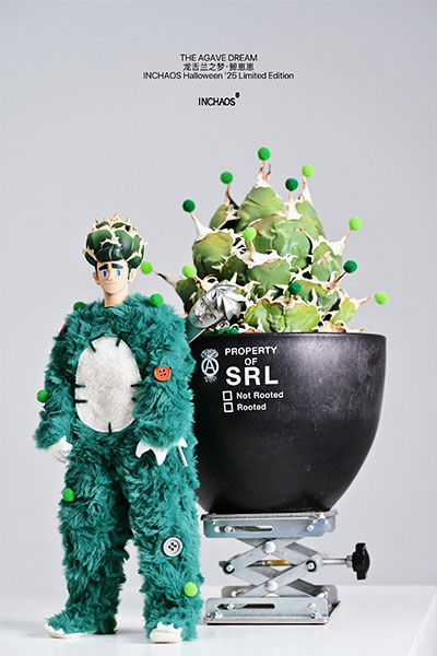 THE AGAVE DREAM �N�W�������