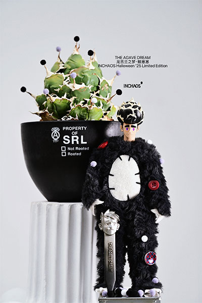 THE AGAVE DREAM �N�W�������