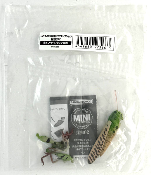 【中古】(本体A/箱B)いきもの大図鑑ミニコレクション 昆虫02 トノサマバッタ(緑)[バンダイ]《発売済・在庫品》