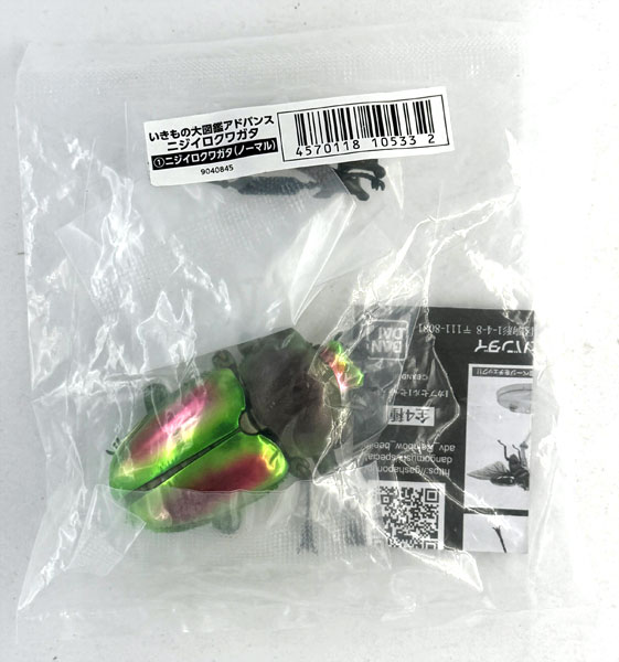 【中古】(本体A/箱B)いきもの大図鑑アドバンス ニジイロクワガタ(ノーマル)[バンダイ]《発売済・在庫品》