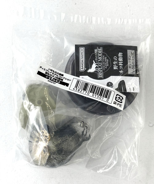 【中古】(本体A/箱B)いきもの大図鑑 ディスプレイモデルコレクション 野生のネコ科動物 マヌルネコ[バンダイ]《発売済・在庫品》