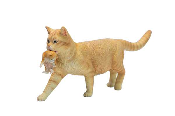 ドメスティックキャット＆キトゥンズ(親猫と子猫)A