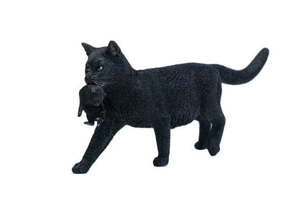 ドメスティックキャット＆キトゥンズ(親猫と子猫)B