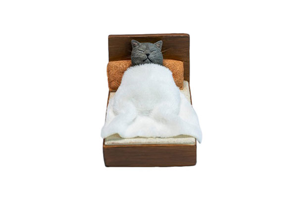 スランバーキャット(眠り猫)A