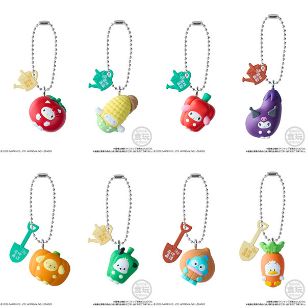 サンリオキャラクターズ ベジタブルビスケット＆チャーム 10個入りBOX (食玩)