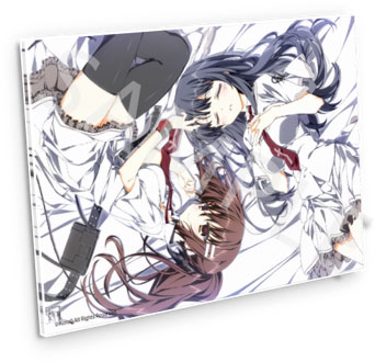 D　1104540さいどあくりるあ 素晴らしき日々 ～不連続存在～』A4アクリルパネルD[ニクマン]《発売済