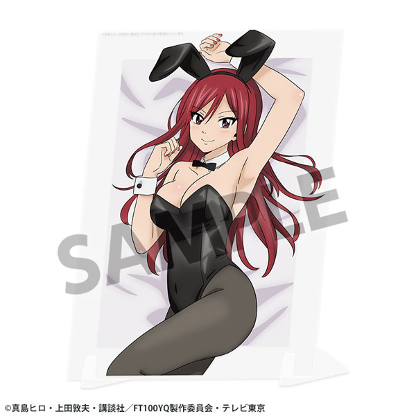FAIRY TAIL 100年クエスト 描き下ろしビジュアルアクリルプレート