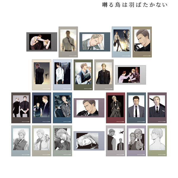 囀る鳥は羽ばたかない トレーディングインスタントカメラ風イラストカード3枚セット 8個入りBOX[アルマビアンカ]《０５月予約》