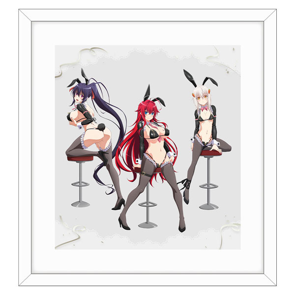 ハイスクールd×d 描き下ろし複製原画 ハイスクールD×D HERO 描き下ろし複製原画(逆バニー(黒))[キース