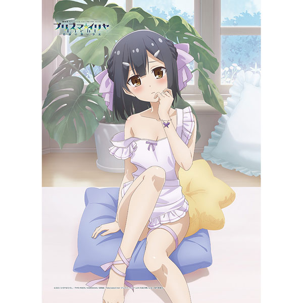 劇場版「Fate/kaleid liner プリズマ☆イリヤ Licht 名前の無い少女」 描き下ろしB2タペストリー(美遊/エプロン)Wスエード[キース]《発売済・在庫品》