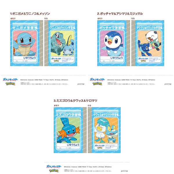 ポケットモンスター ミニ学習帳セット -第11弾- (D)[ショウワノート]《０４月予約》